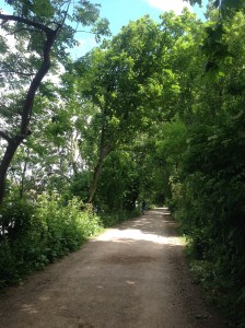chiswick trail