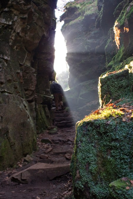 walking into the light